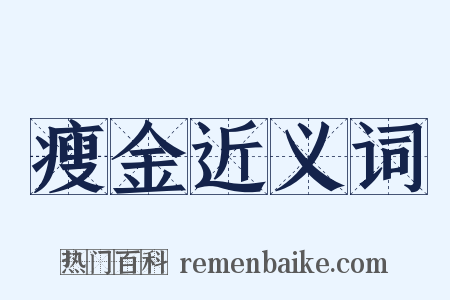 瘦金近义词是什么意思的图片